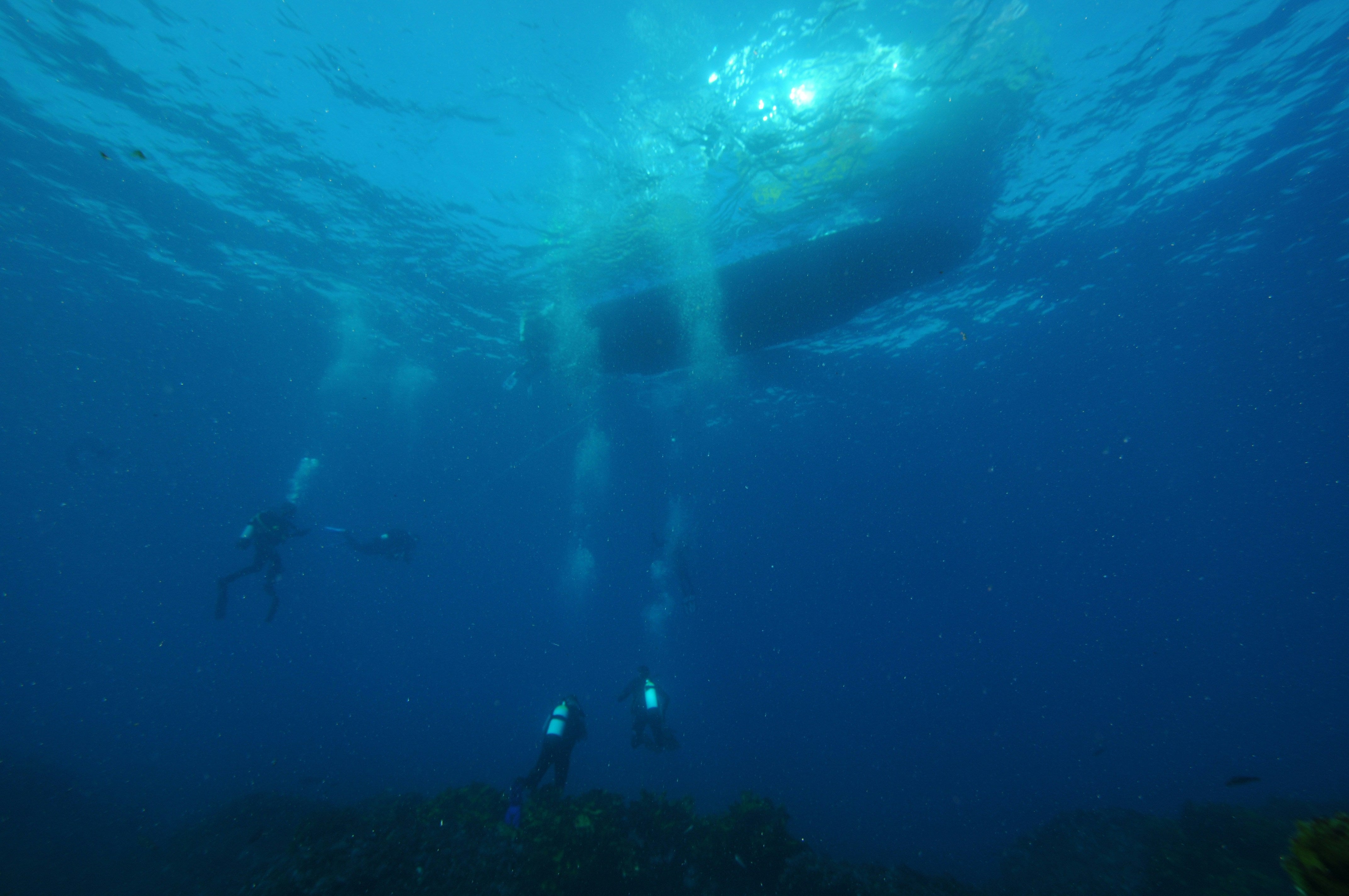 Diving Boats