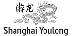 Shanghai Youlong Rubber